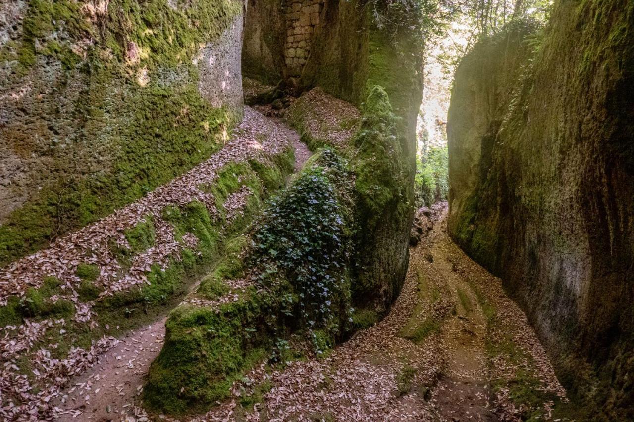 La Sorpresa Monolocale Con Vista Vallata Pitigliano Bagian luar foto