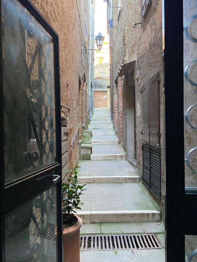 La Sorpresa Monolocale Con Vista Vallata Pitigliano Bagian luar foto